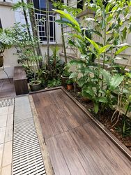 Holland Grove (D10), Semi-Detached #451650151